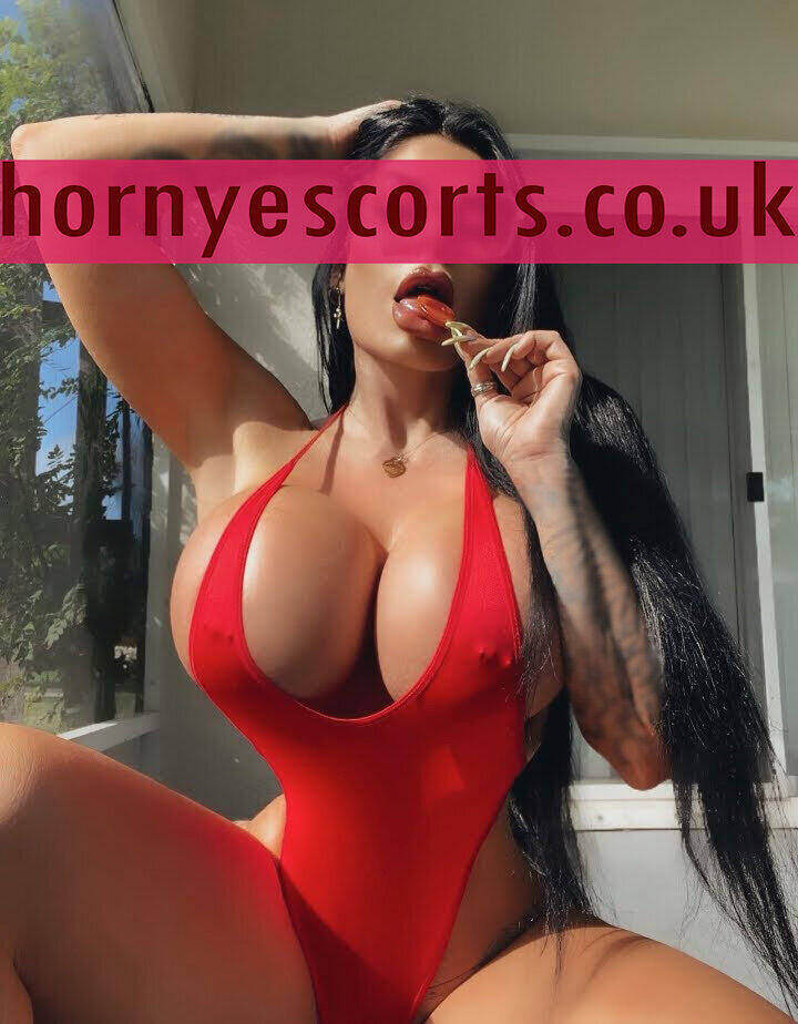 NEWMolly11 santa clara escorts escorts in wakefield top london escorts european escorts